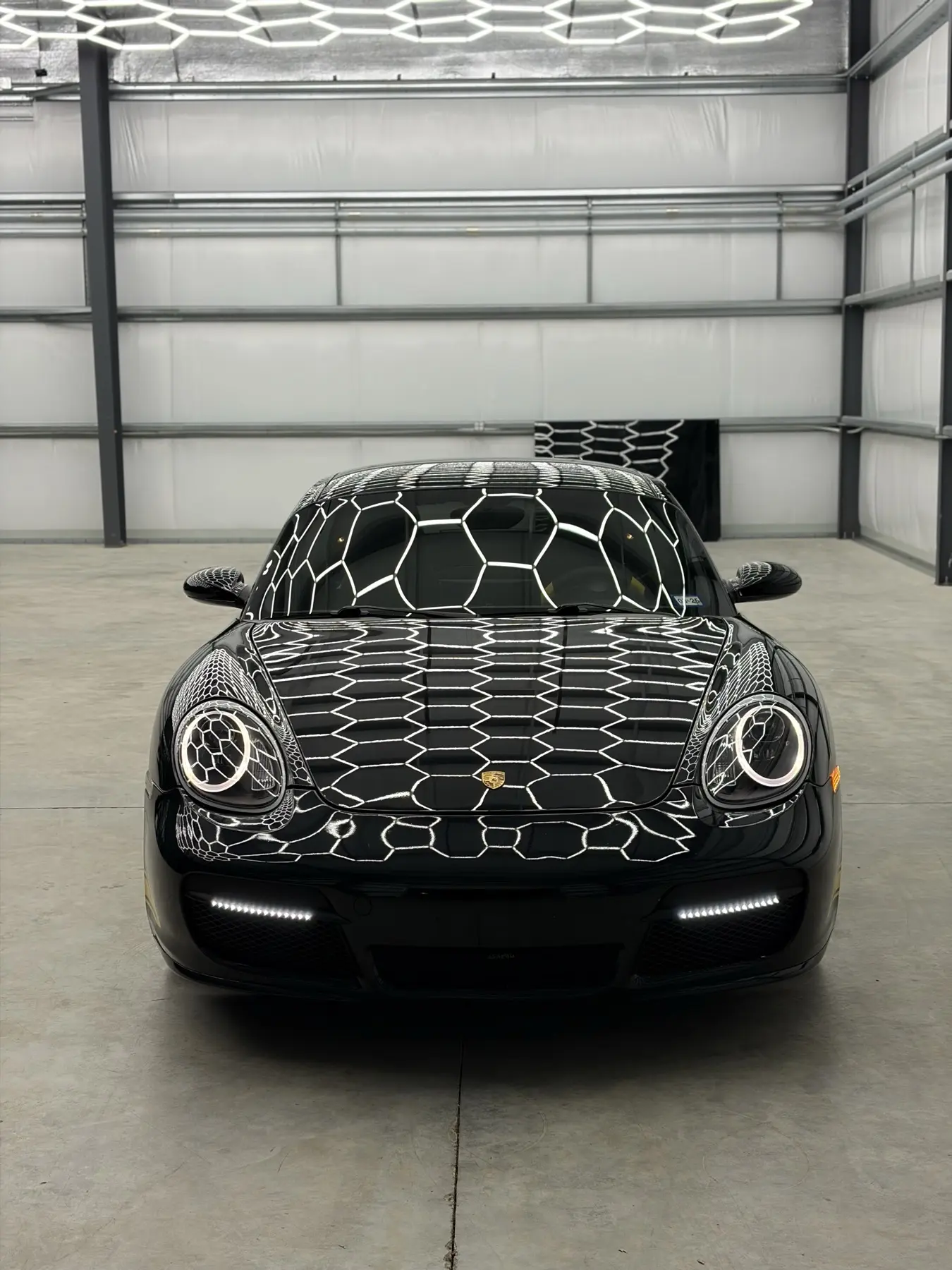 Paint Correction 6